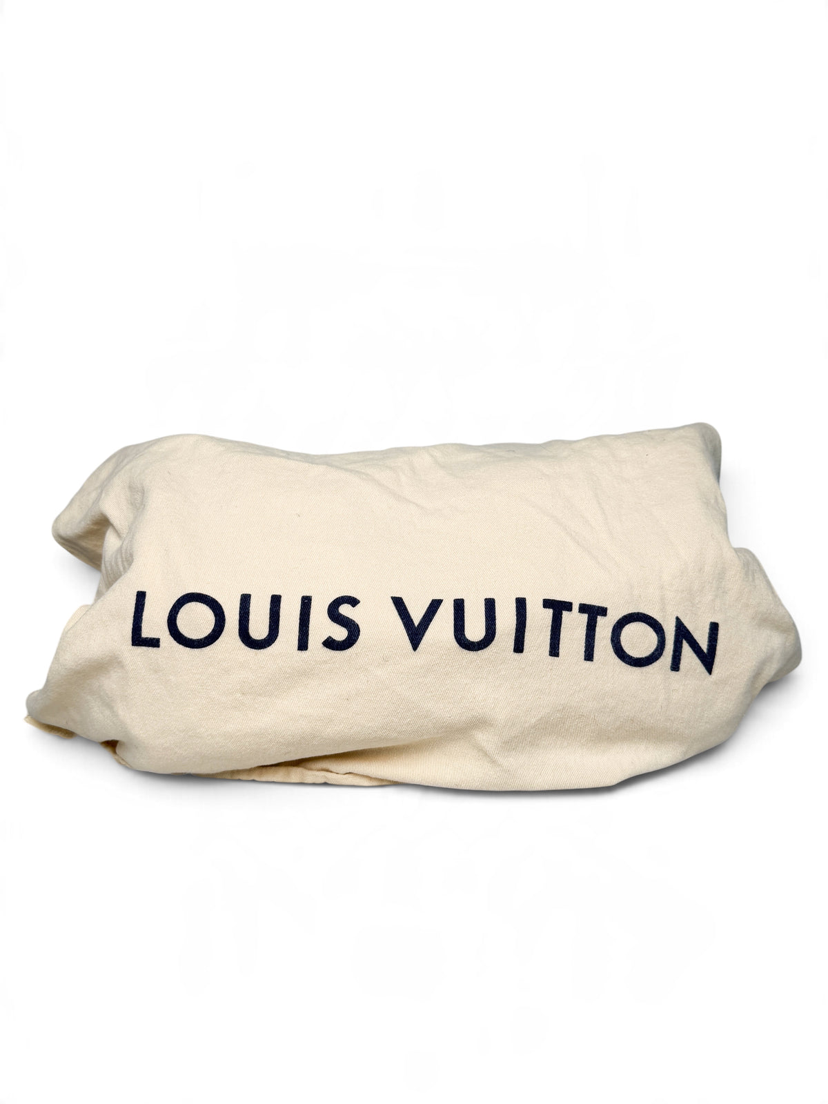 Louis Vuitton Speedy Neo Denim Bag