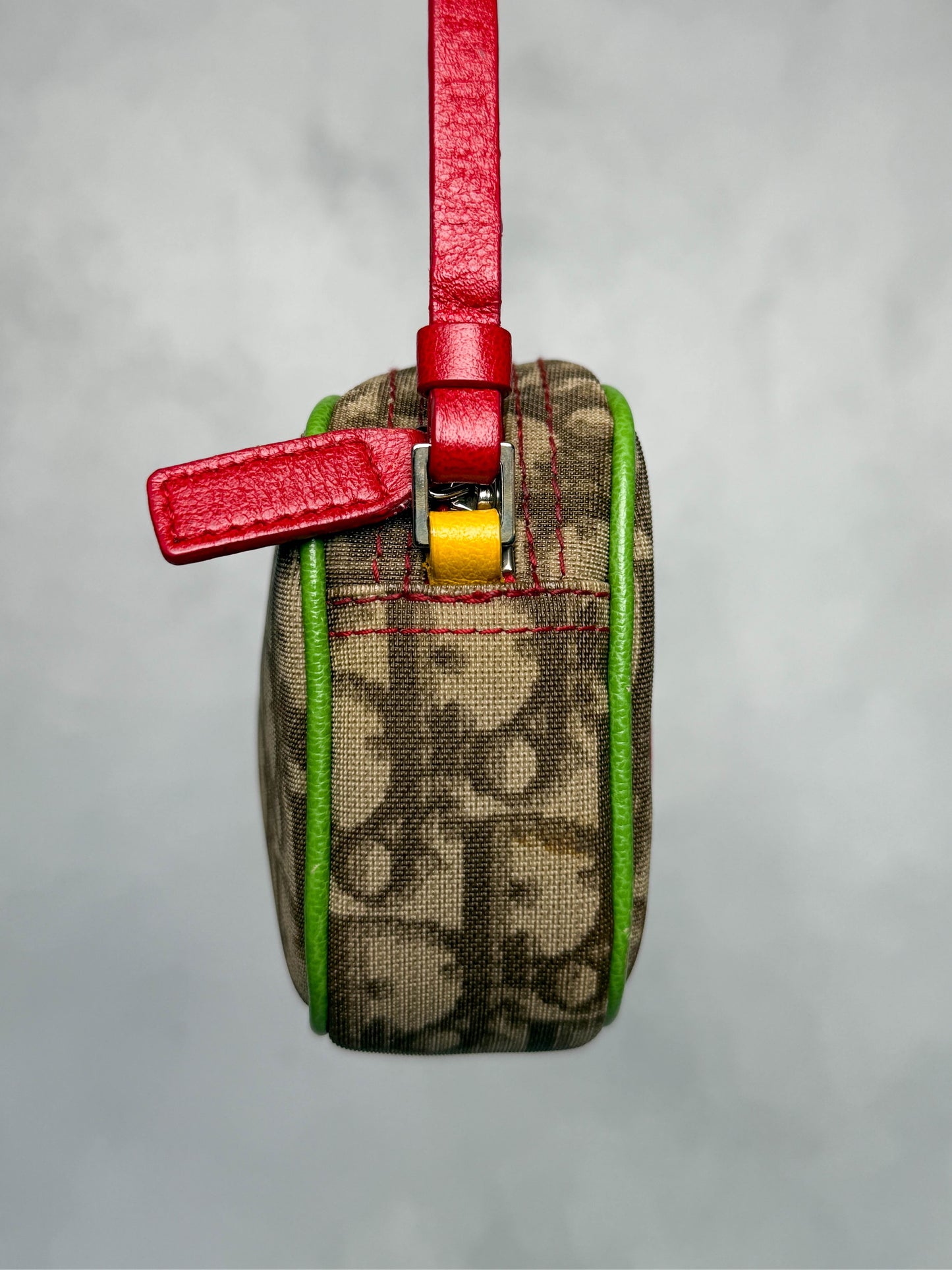 Dior Vintage Rasta Pochette