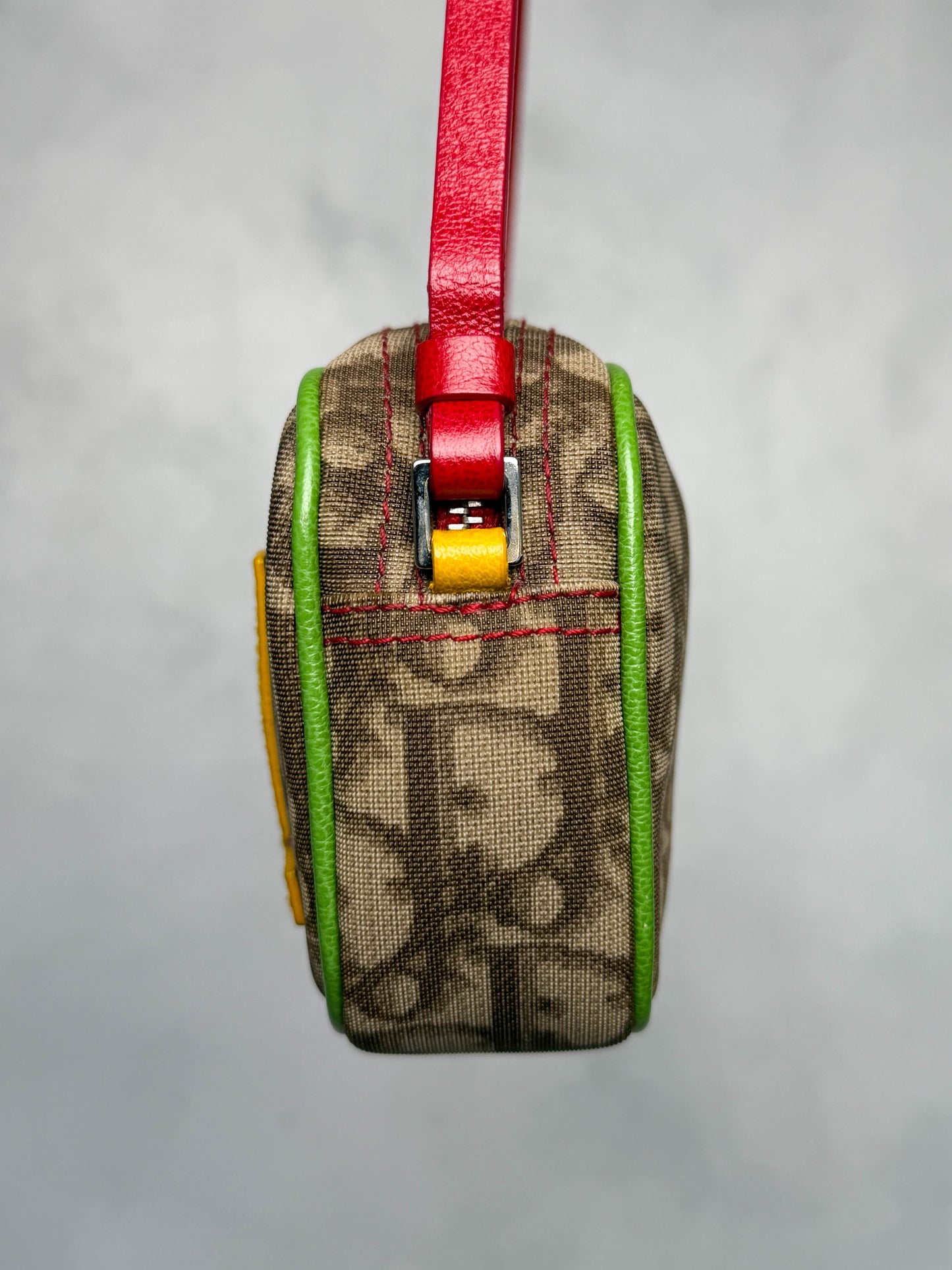 Dior Vintage Rasta Pochette