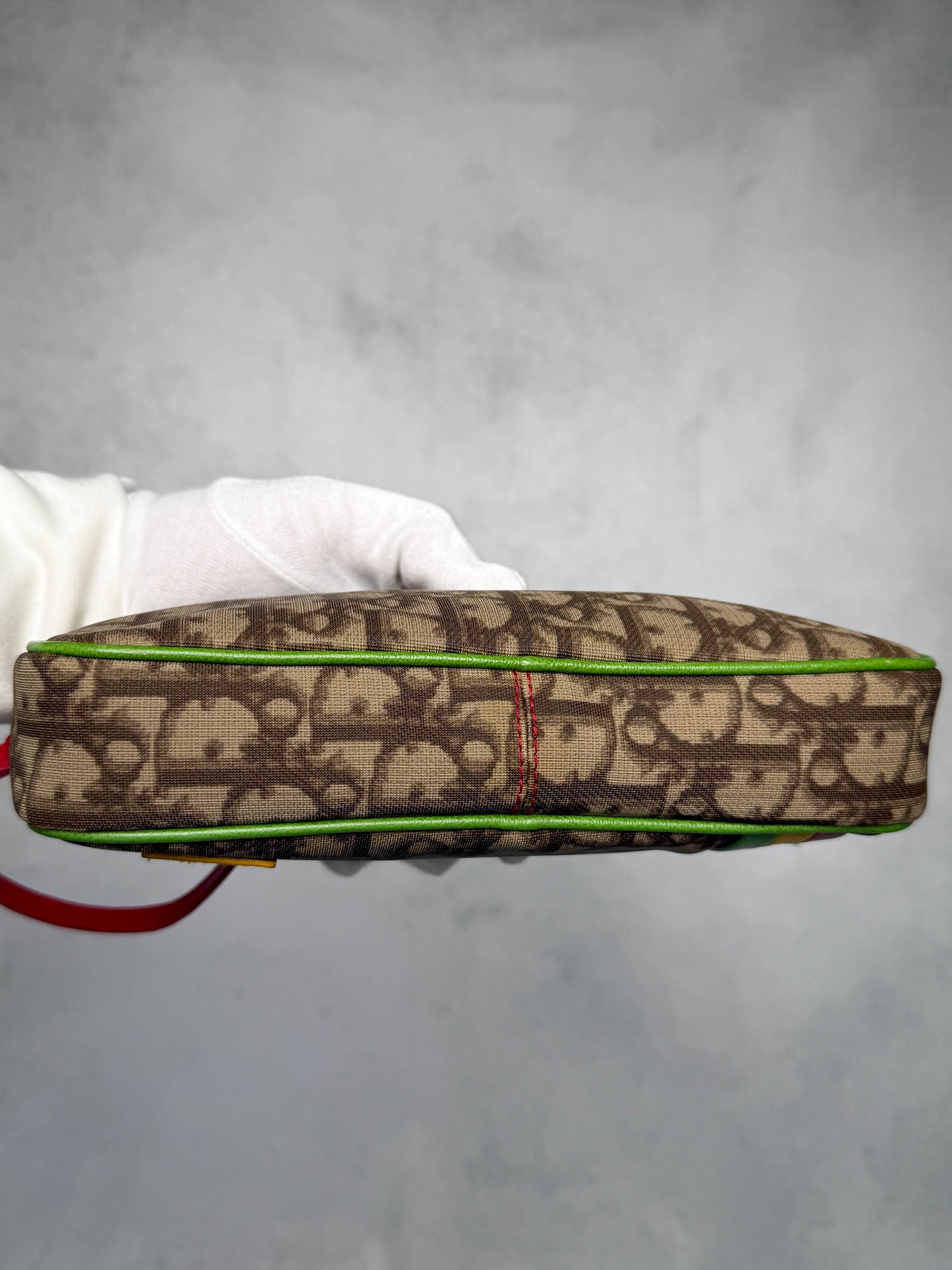 Dior Vintage Rasta Pochette