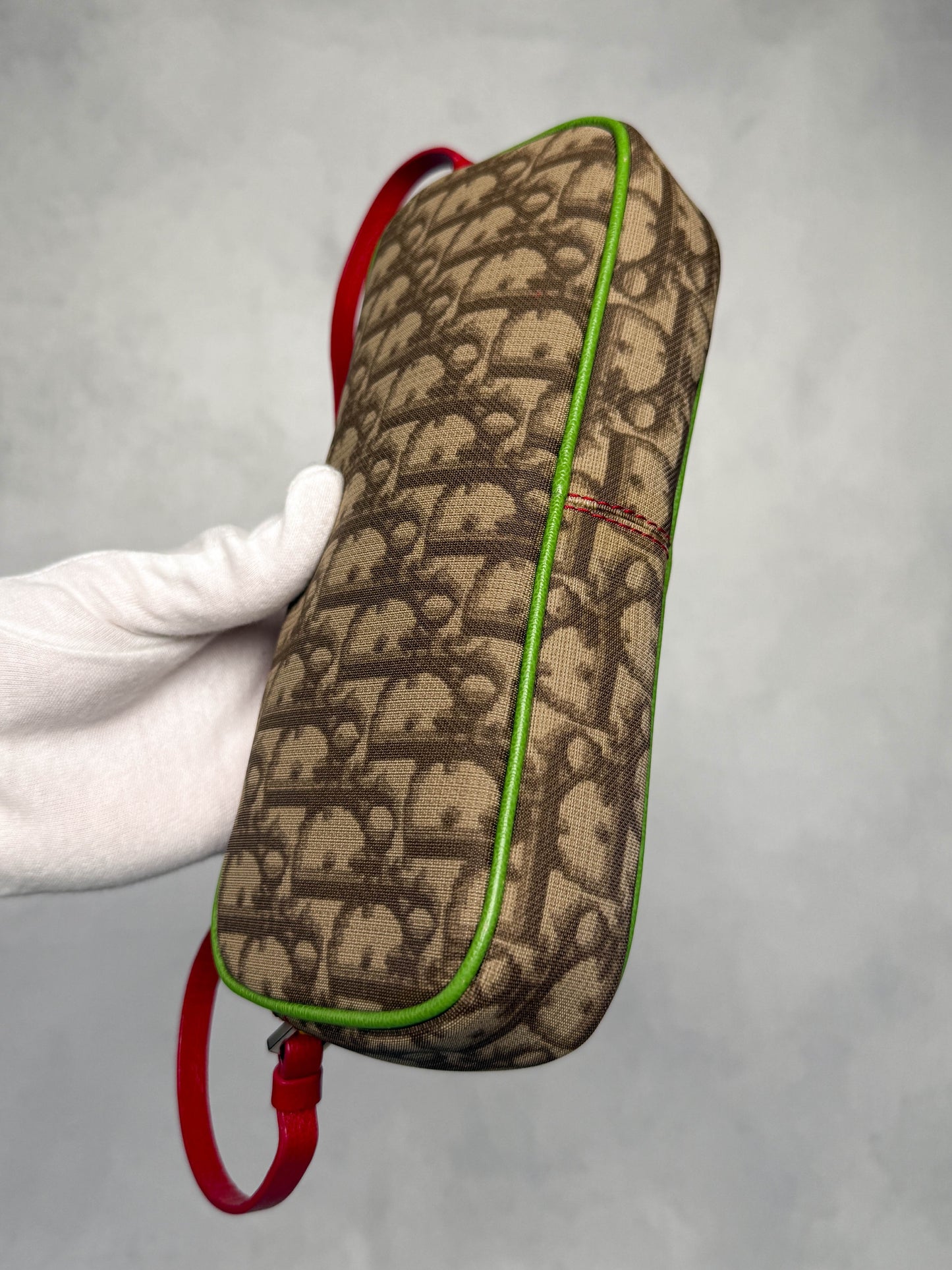 Dior Vintage Rasta Pochette