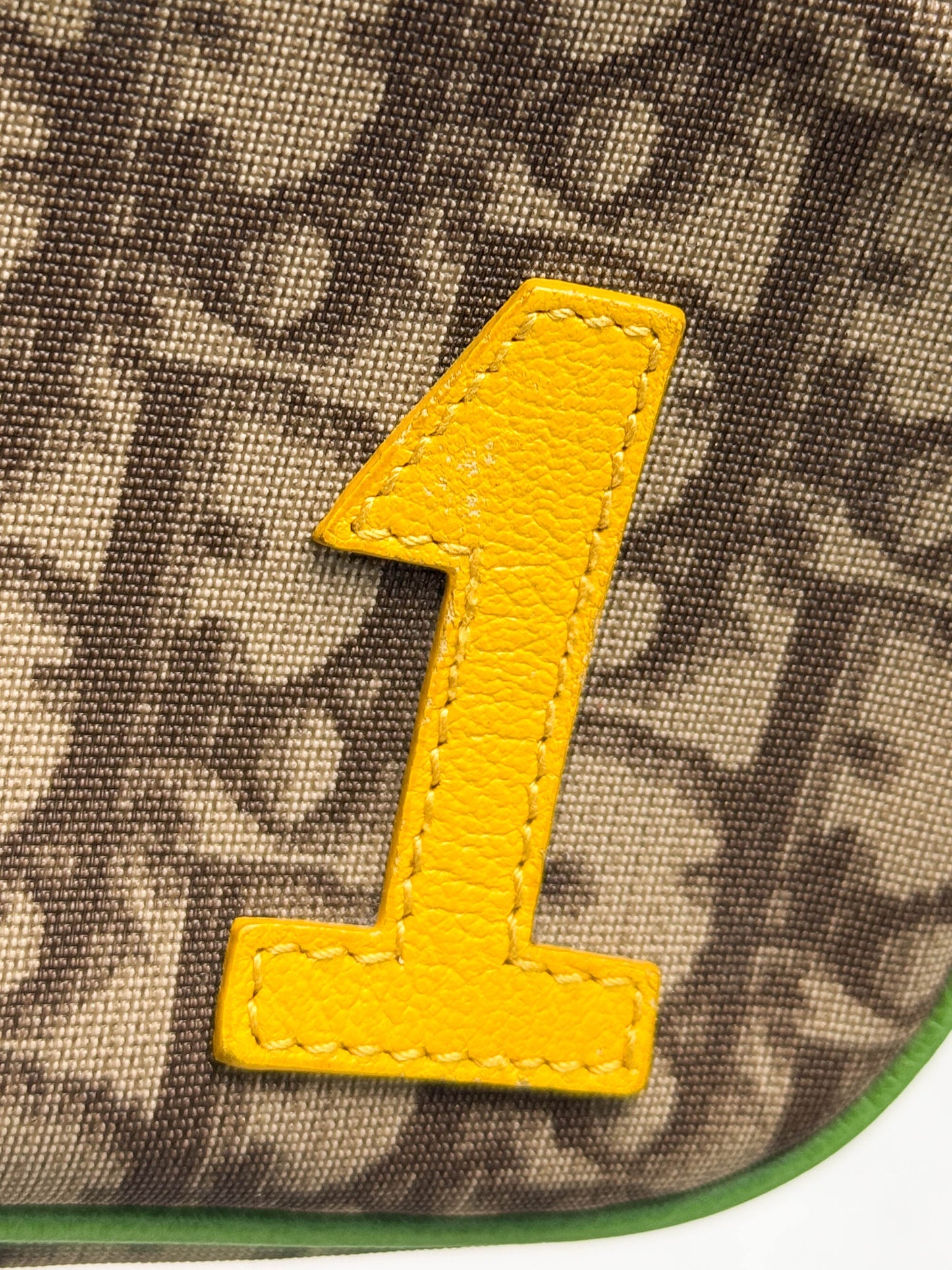 Dior Vintage Rasta Pochette