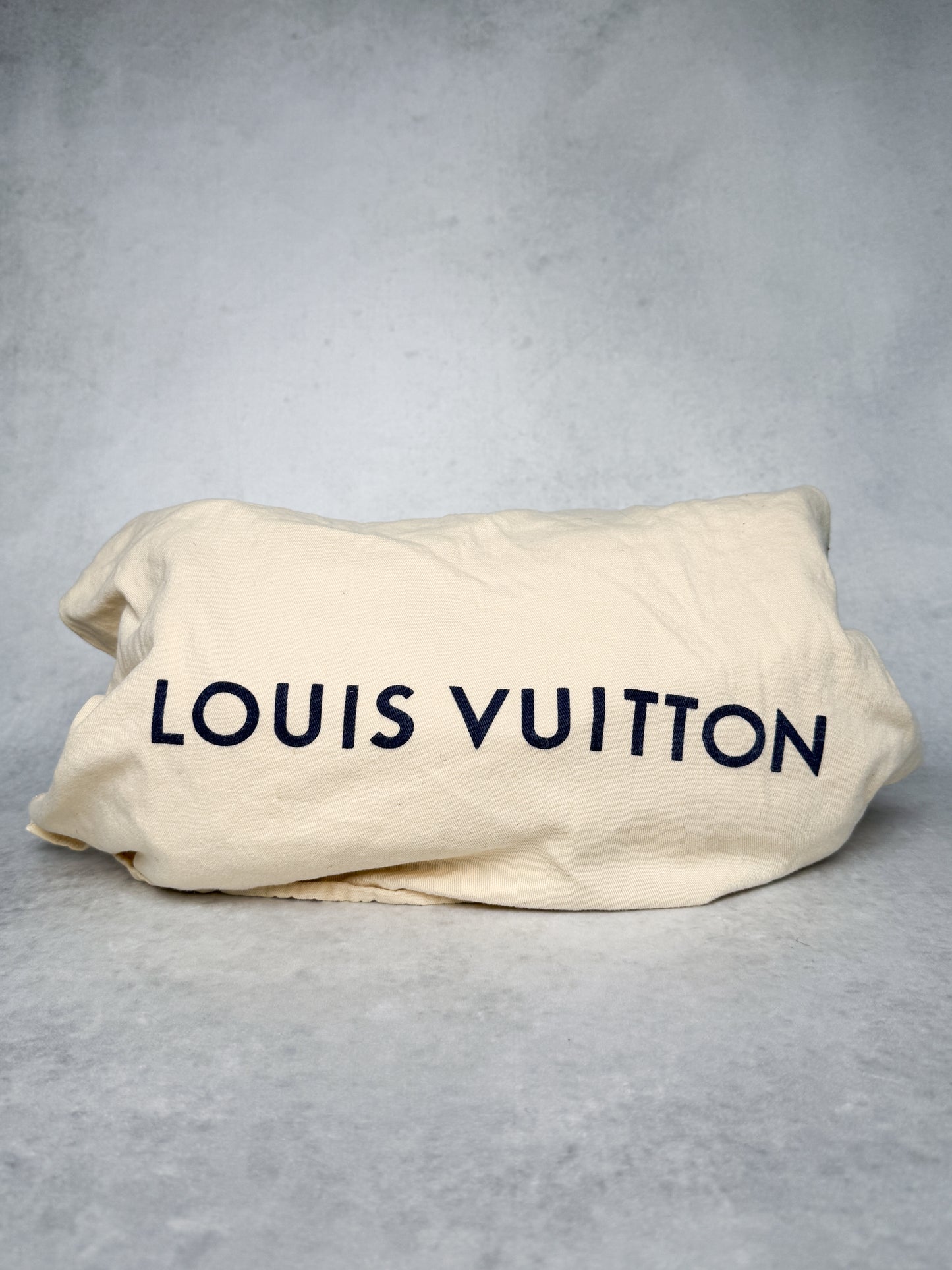 Louis Vuitton Speedy Neo Denim Bag