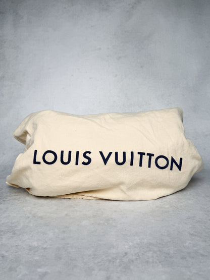 Louis Vuitton Speedy Neo Denim Bag