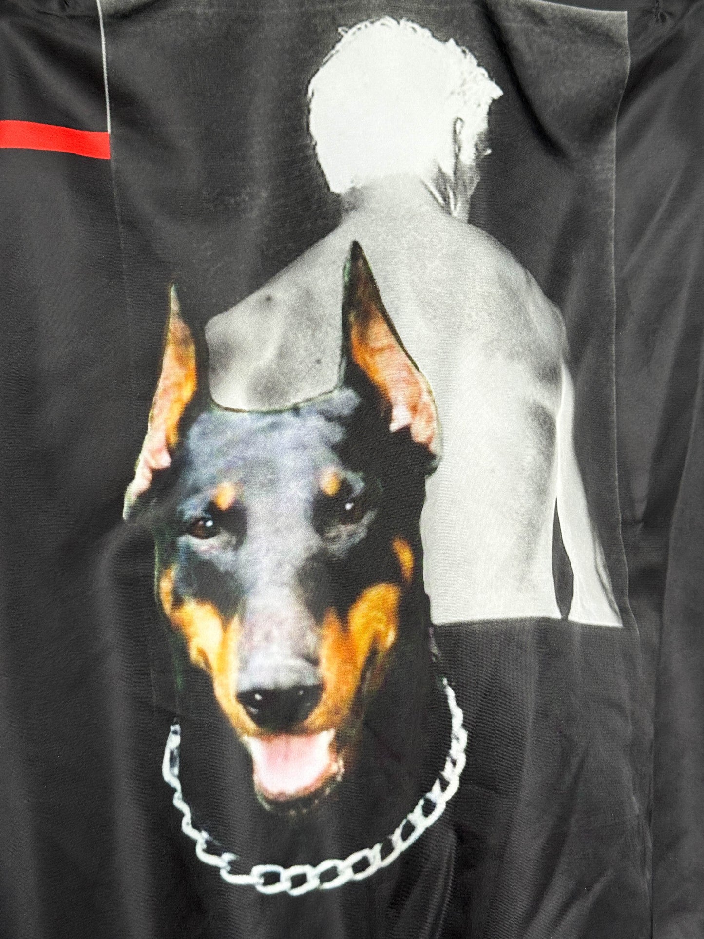 Givenchy FW13 Doberman Bomber (50)